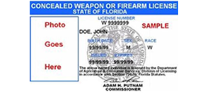 Florida Concealed Weapons License